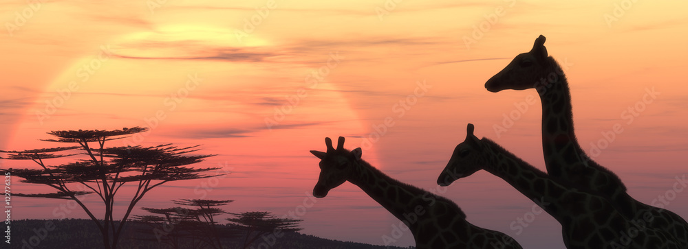 The giraffe silhouette