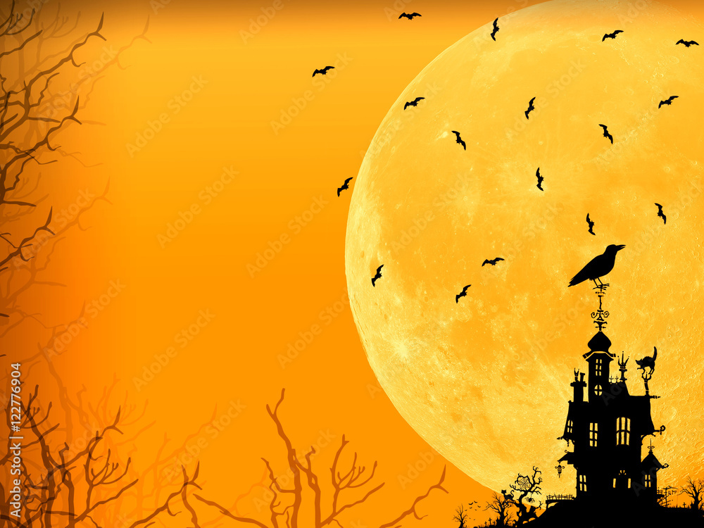 Halloween night background 
