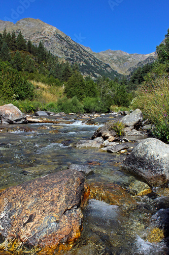 Río aguas limpias en Sallent de Gállego, Valle de Tena (Huesca)