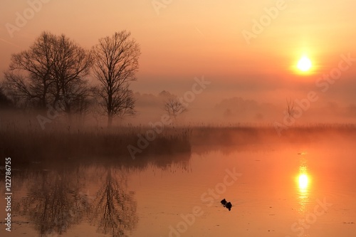 Obraz na płótnie sunrise over a lake with ducks 2 w salonie