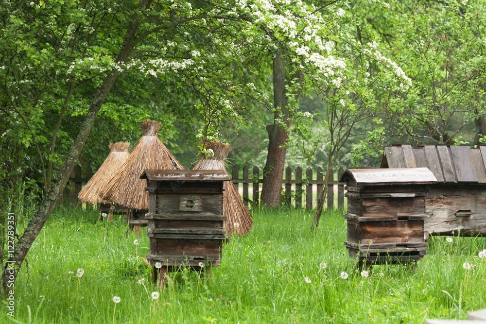 old beehives in the garden
