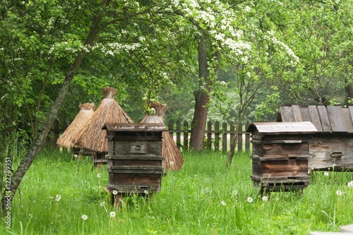 Obraz na płótnie old beehives in the garden w salonie