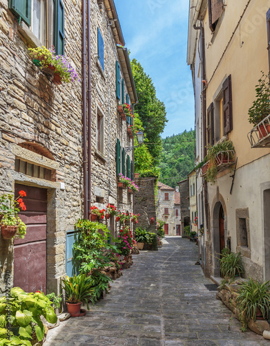 Fototapeta Naklejka Na Ścianę i Meble -  Old street with flowers in Italy