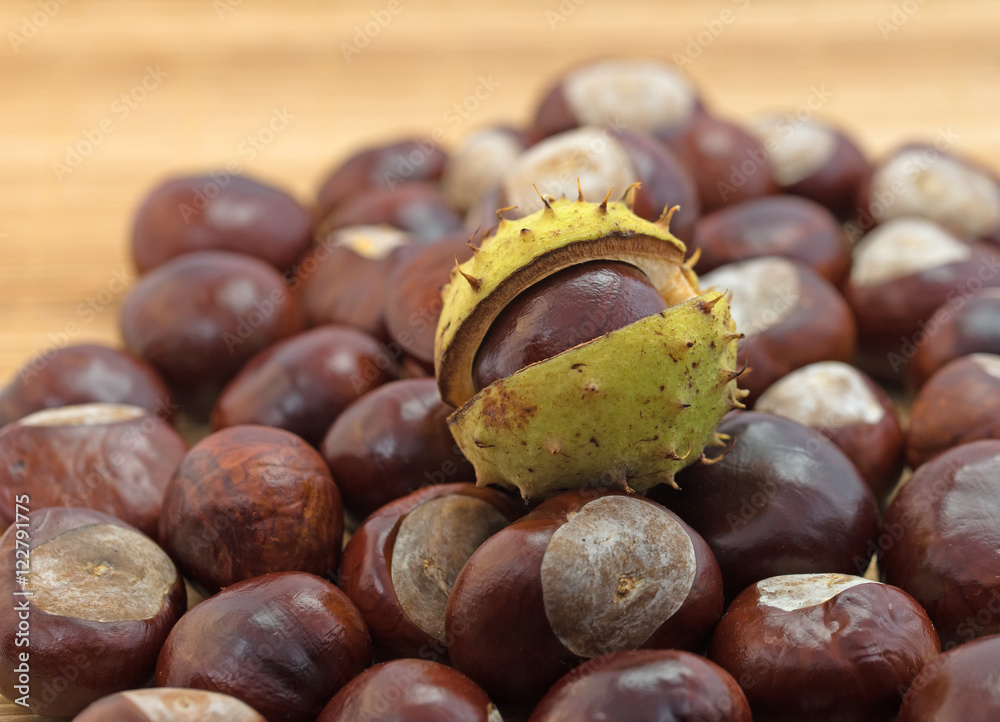 Gemeine Rosskastanien, Aesculus hippocastanum Gemeine Rosskastanien, Aesculus hippocastanum