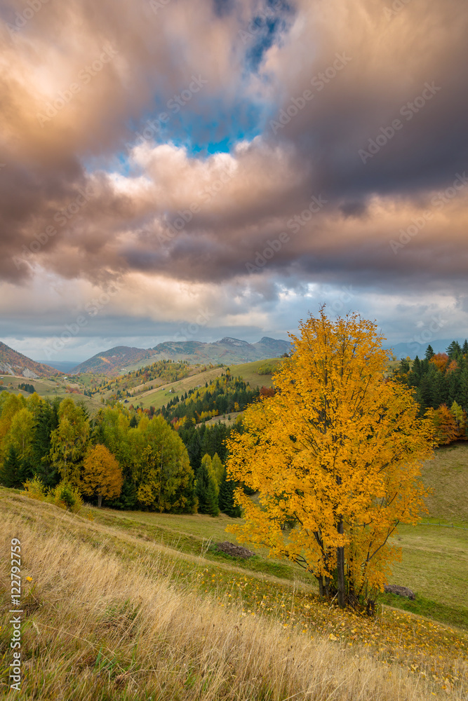 Fototapeta premium Idyllic autumn scenery in remote mountain area in Transylvania