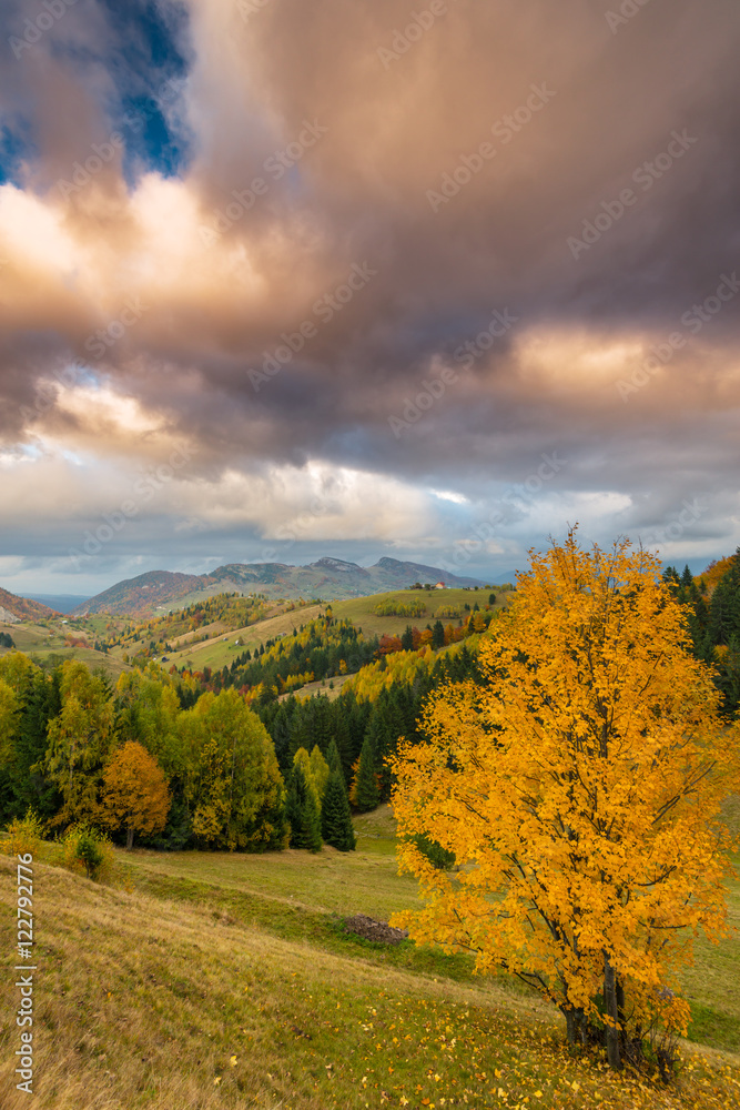 Fototapeta premium Idyllic autumn scenery in remote mountain area in Transylvania