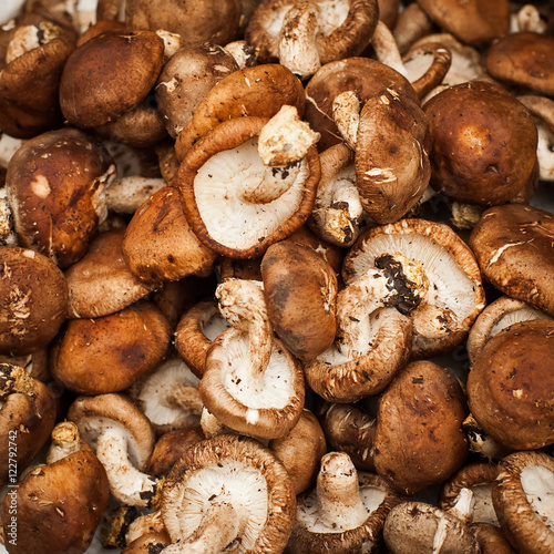 Mushrooms. Vegetables and herbs for sale at asian market. Organic food background