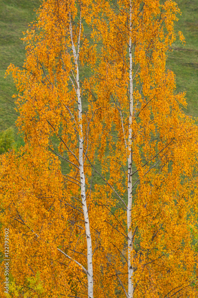 Idyllic autumn scenery in remote mountain area in Transylvania Idyllic autumn scenery in remote mountain area in Transylvania