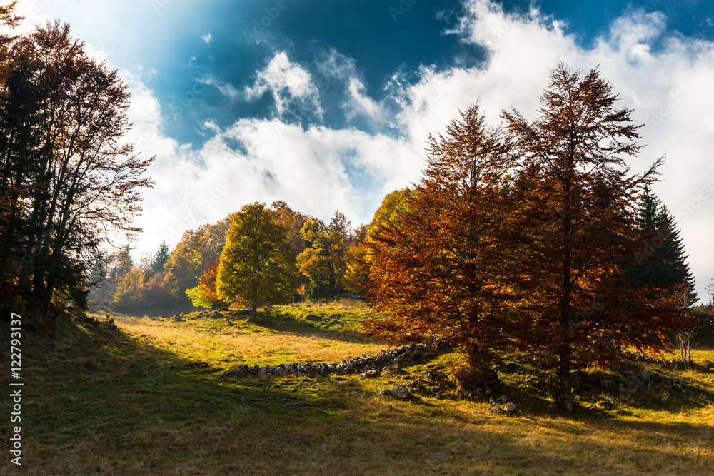 October autumn scenery in remote mountain area in Transylvania October autumn scenery in remote mountain area in Transylvania