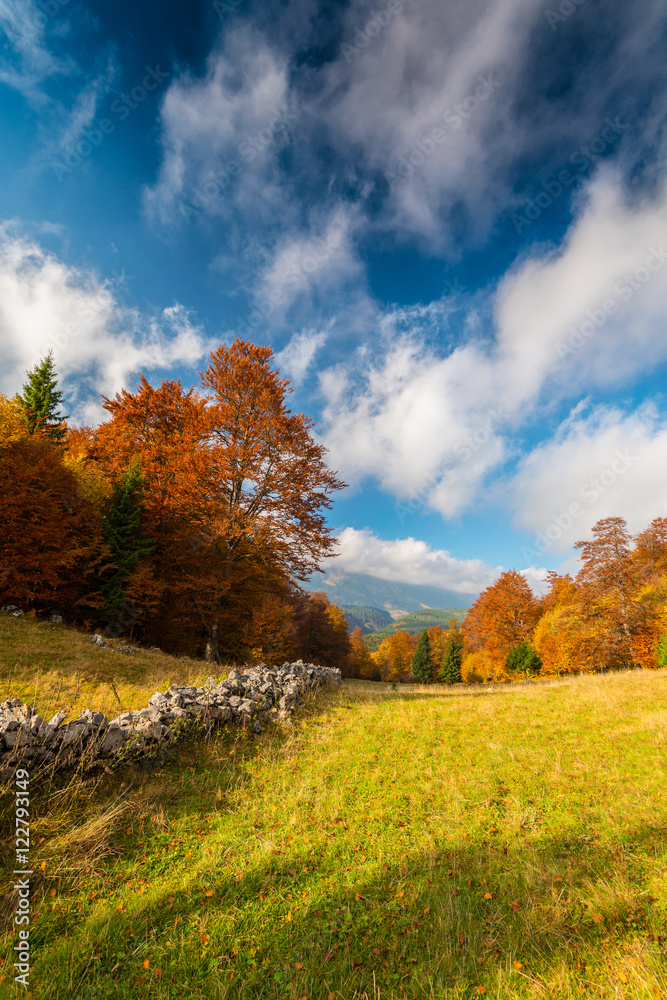 Naklejka premium October autumn scenery in remote mountain area in Transylvania