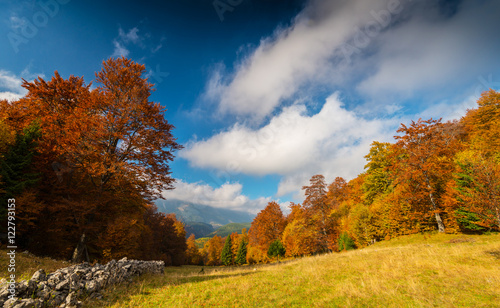 October autumn scenery in remote mountain area in Transylvania