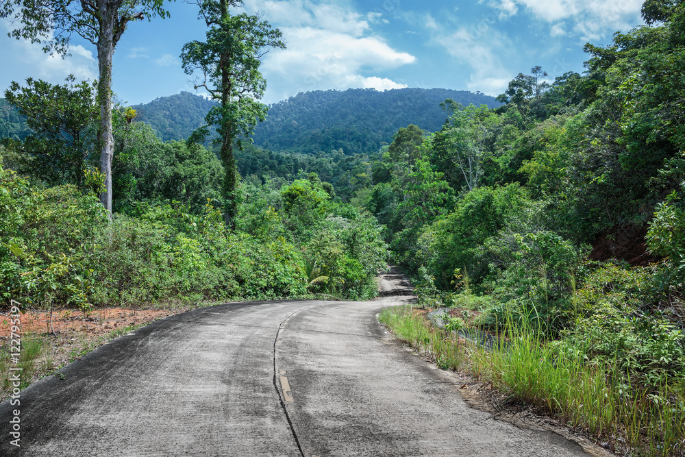 Highway in the tropics Highway in the tropics