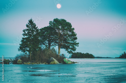 Winter swedish landscape at sea coast with pine trees and moon photo