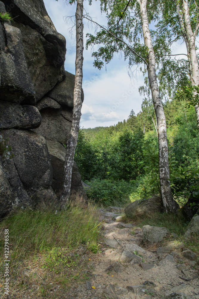 Fototapeta premium Harzklippen, Wanderpfad, Treppenstein