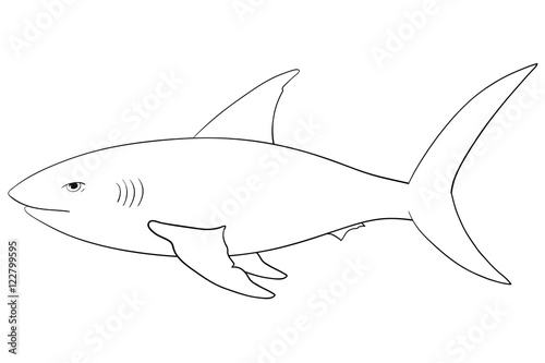 Shark. Hand drawn outline sketch