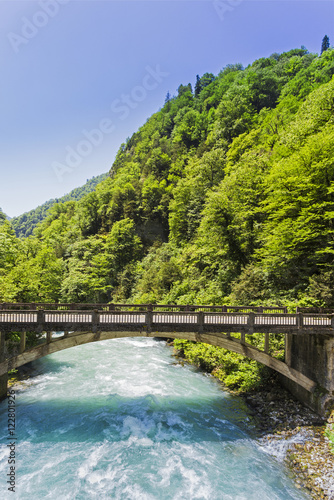 Landscape in Abkhazia with stone bridge over river