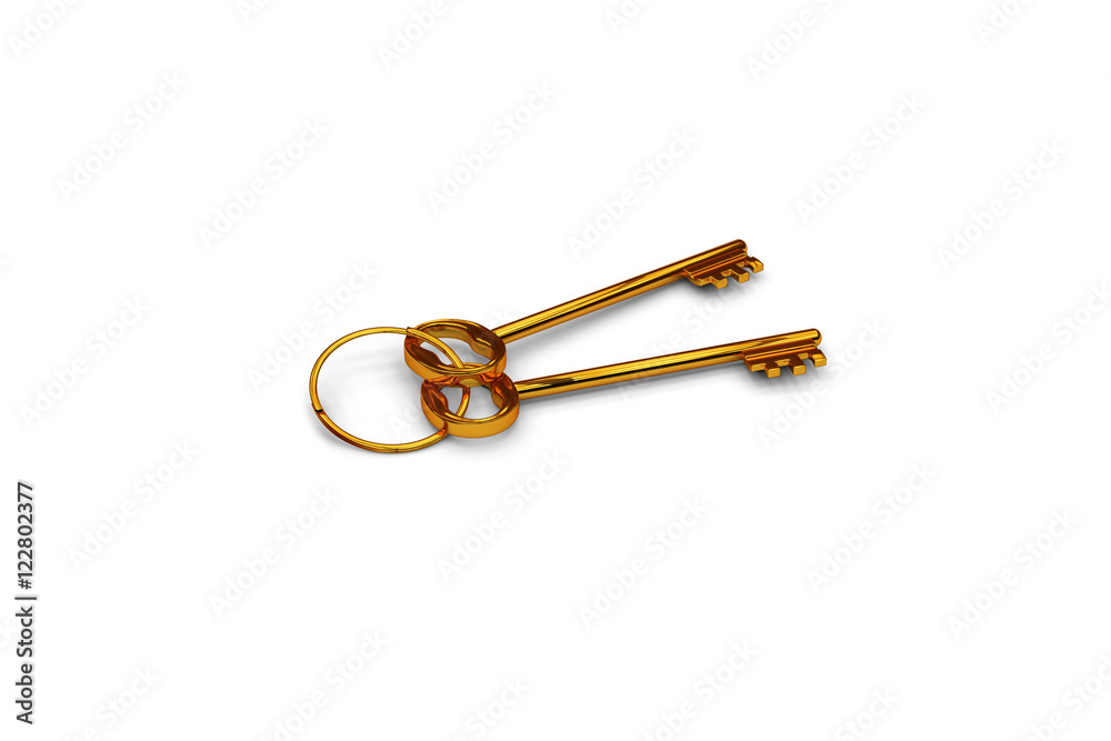 3d illustration of a key to the door, happiness, love and home 3d illustration of a key to the door, happiness, love and home
