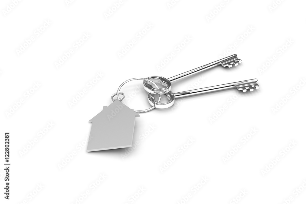 3d illustration of a key to the door, happiness, love and home 3d illustration of a key to the door, happiness, love and home