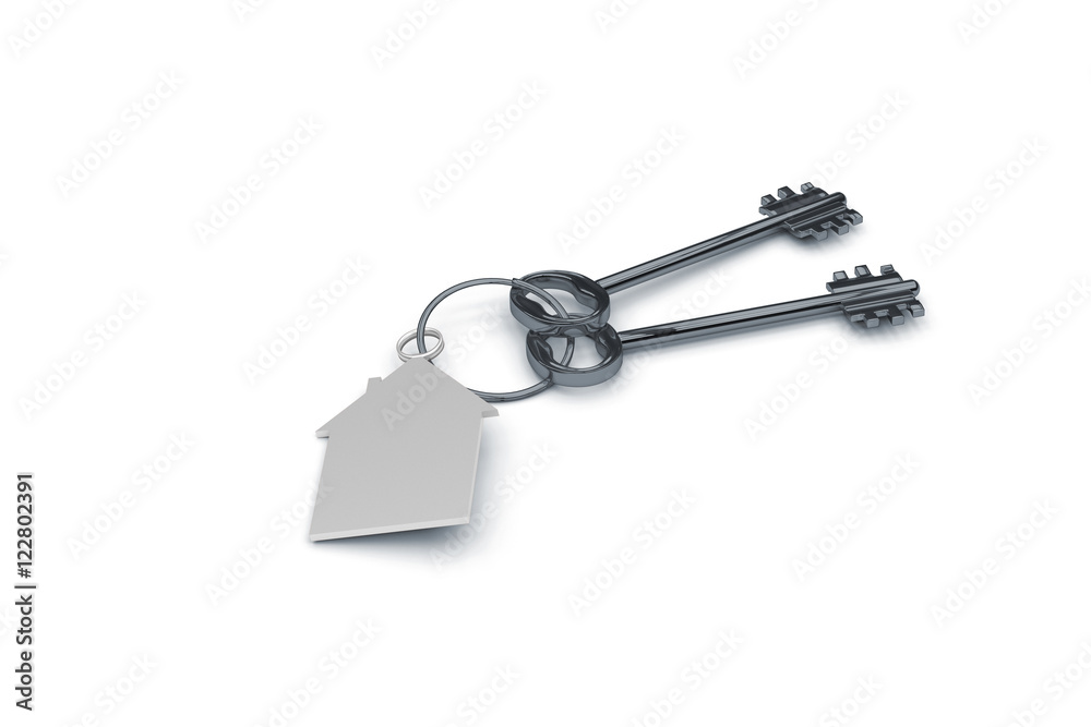 3d illustration of a key to the door, happiness, love and home 3d illustration of a key to the door, happiness, love and home