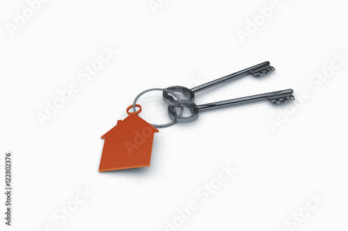 3d illustration of a key to the door, happiness, love and home