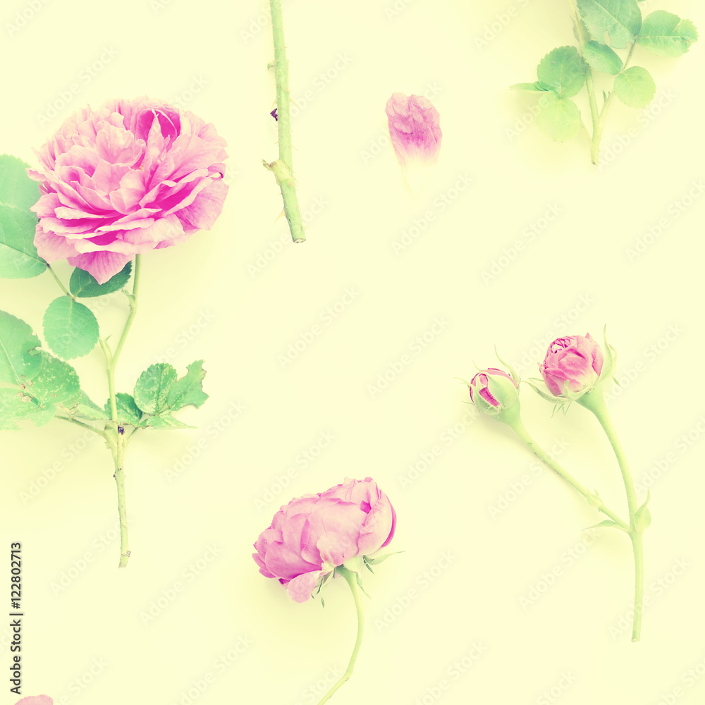 Assorted pink roses heads on white background. Roses and leaves scattered on a table, overhead view wallpaper. Flat lay, top view of flowers. Photo made with color filters.