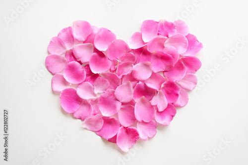Pink rose petals in a heart shape on white background. Flat lay flowers for your design elements. Top view.