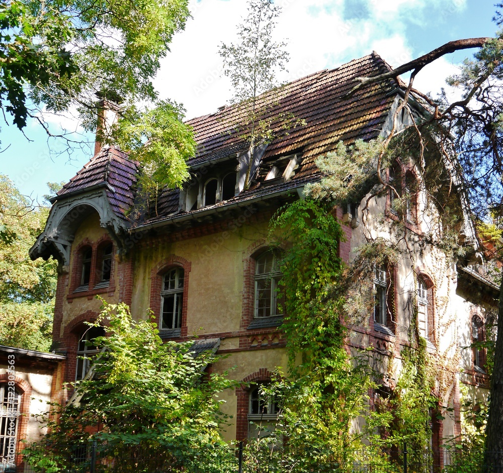 Verwunschenes altes haus