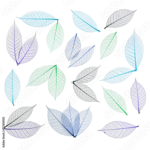 Skeleton leaf abstract background. Decorative ornament of colored leaves pattern. Green, blue, violet and black leaves set.