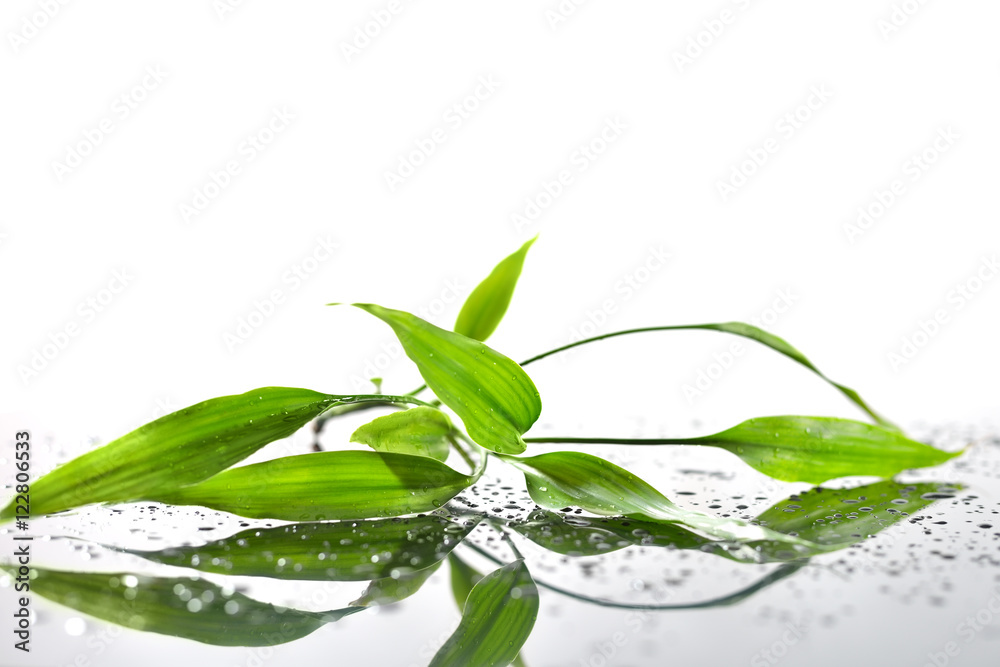 Fototapeta premium Spa Background with Bamboo and Water