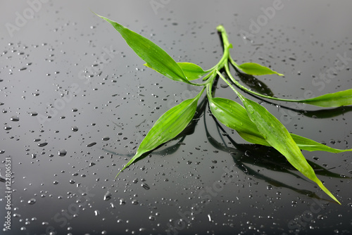 Water drops and green bamboo leaves on black glass