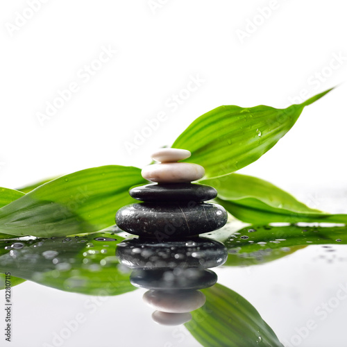Green leaves over zen stones pyramid on waterdrops surface