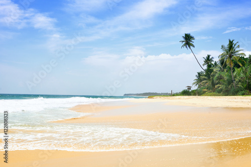 Tropical beach with palm trees, Sri Lanka © galina_d