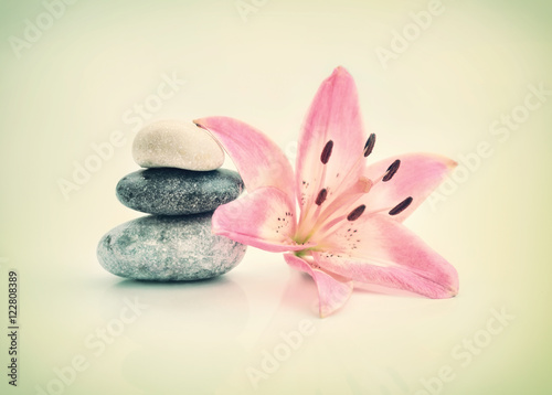 romantic background of a spa with stones and lily flower in pastel tones