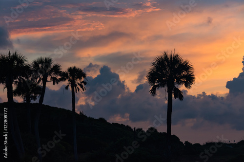 Palm trees in beautiful sunrise skies.  Folly Beach  South Carolina. 