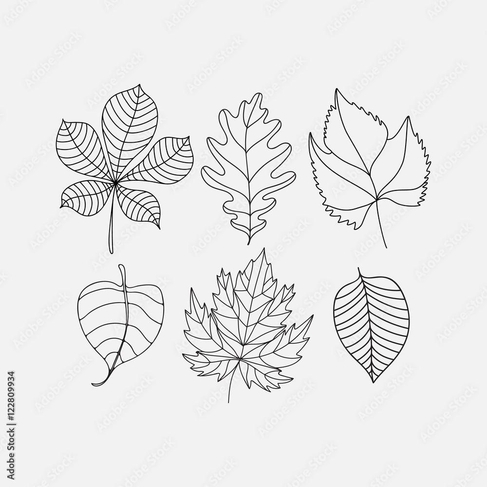 graphic decorative set of leaf icons
