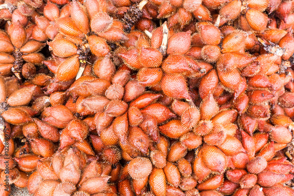 Fresh salak for sale in market Fresh salak for sale in market