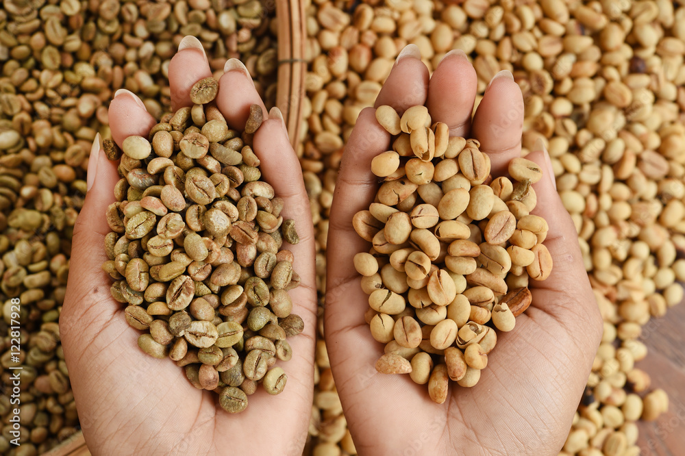Close up of coffee beans on hand Close up of coffee beans on hand