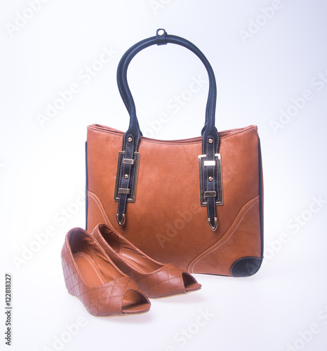 bag. women bag and fashion shoe on a background.