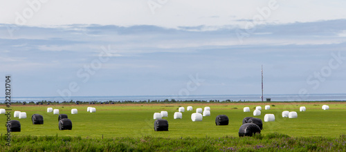 Hay bales sealed with plastic wrap