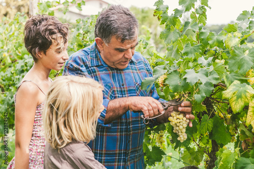 Foto Grandfather Teaching How to Cut Grapes