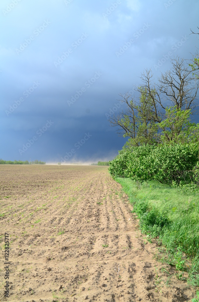 dark sky stones tree foliage dark sky stones tree foliage
