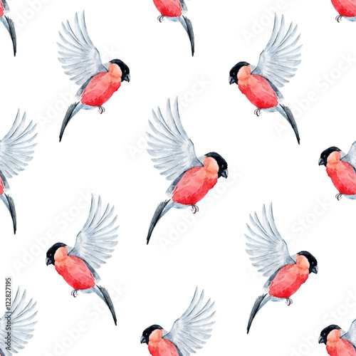 Watercolor bullfinch bird pattern