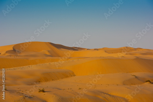 Desert dunes in Liwa  United Arab Emirates
