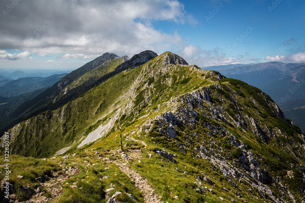 Panorama of Romanian Carpathians Panorama of Romanian Carpathians