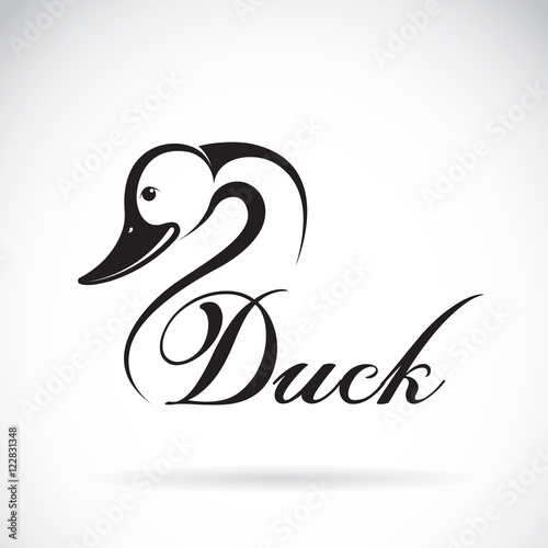 Vector of a duck design on a white background.
