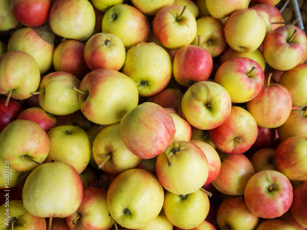 Closeup Fresh apples for sale at market Closeup Fresh apples for sale at market