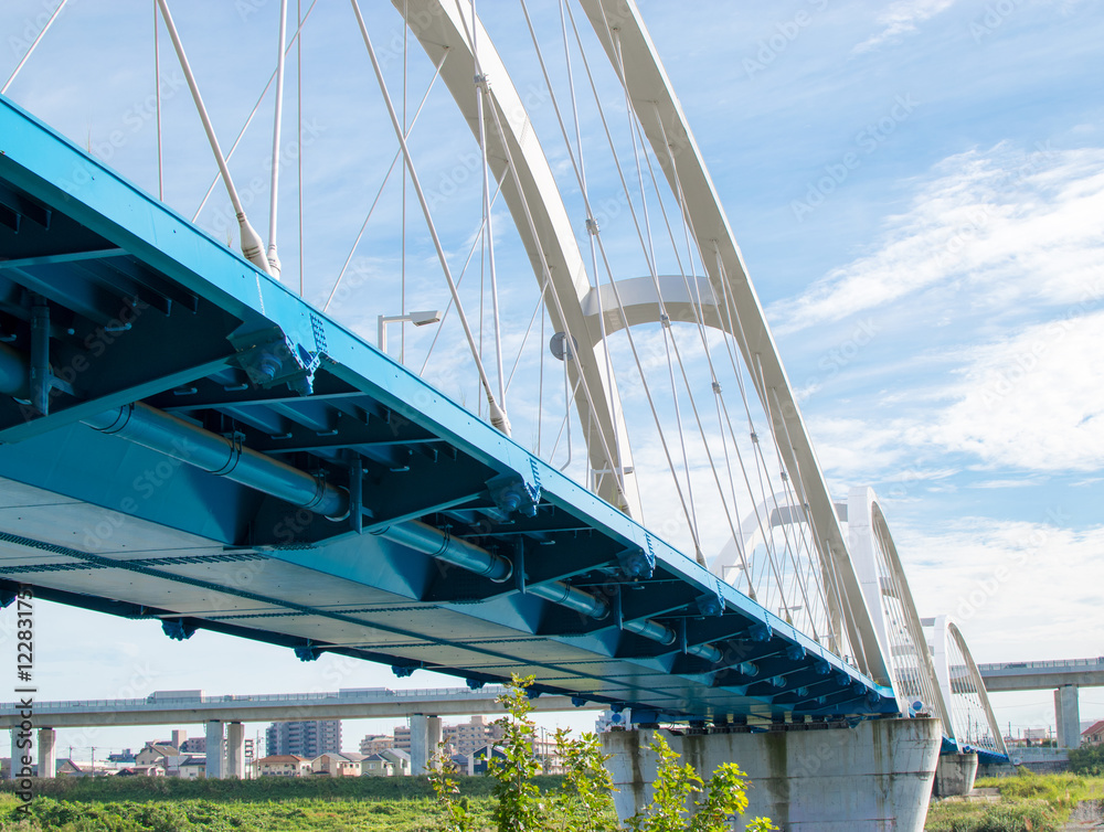 Fototapeta premium 鉄橋