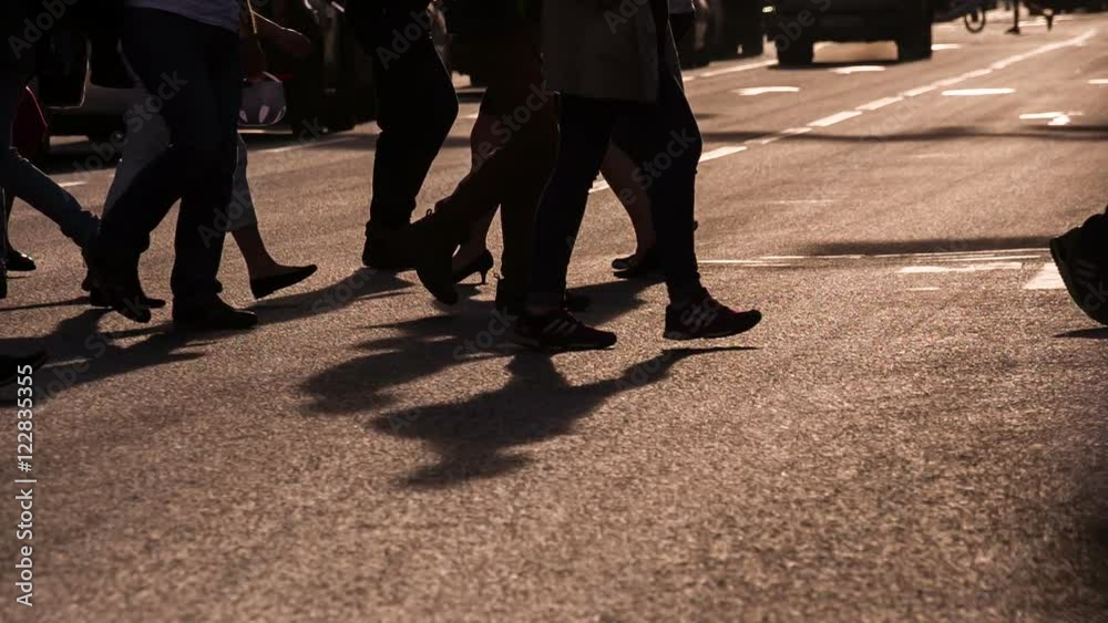 Pedestrians in a Crosswalk Pedestrians in a Crosswalk