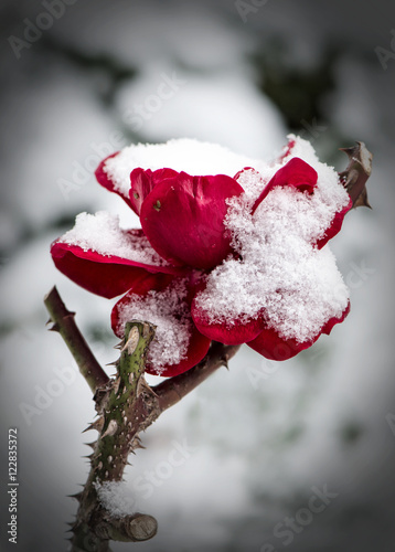 NATUR - Wintereinbruch