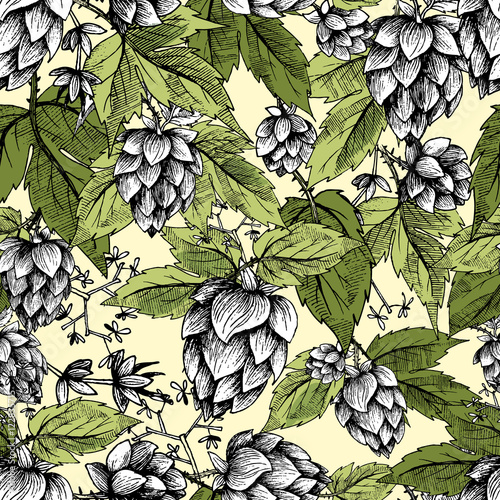 Beer hops seamless pattern of hand drawn hops cones and hops leaves, colorful background, sketch and engraving design hops plants. All element isolated.